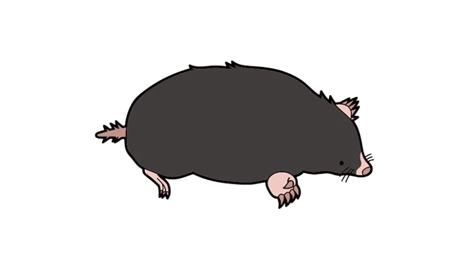 モグラ